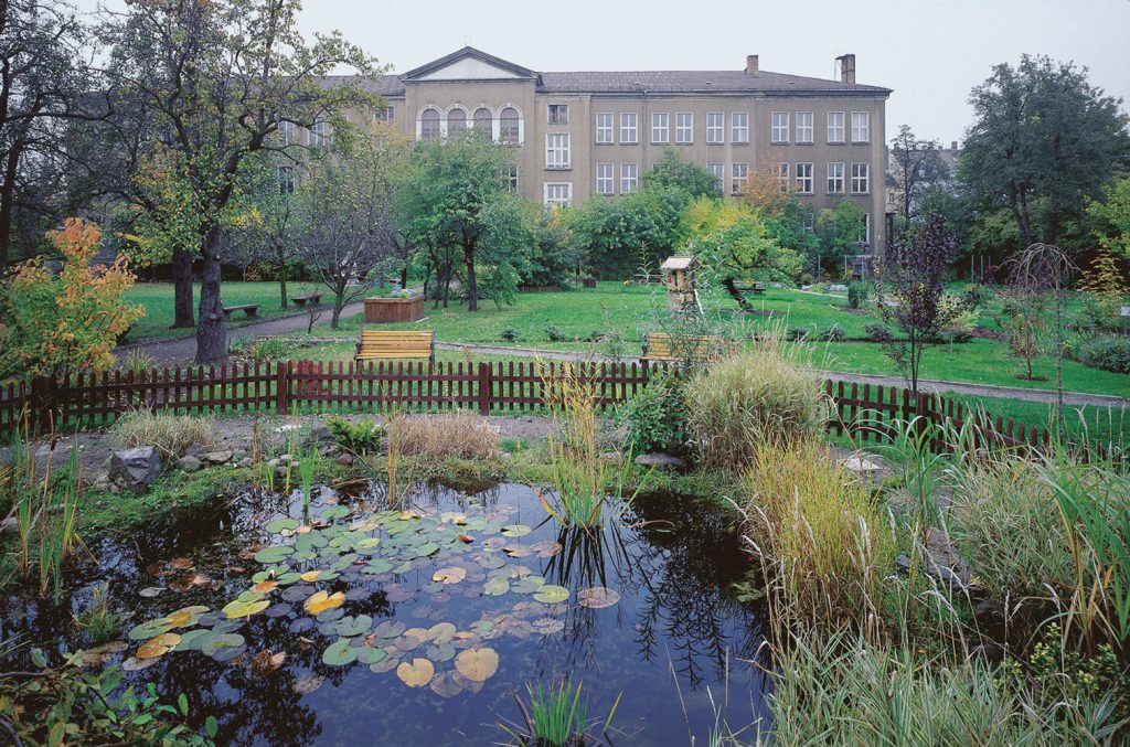 34. Grundschule, Neugestaltung eines Schulgartens, Delitzscher Straße 10, Verein Ökolöwe Umweltbund Leipzig e.V.