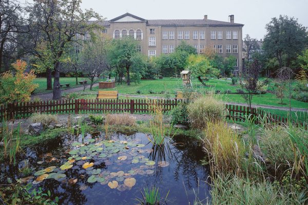 34. Grundschule, Neugestaltung eines Schulgartens, Delitzscher Straße 10, Verein Ökolöwe Umweltbund Leipzig e.V.